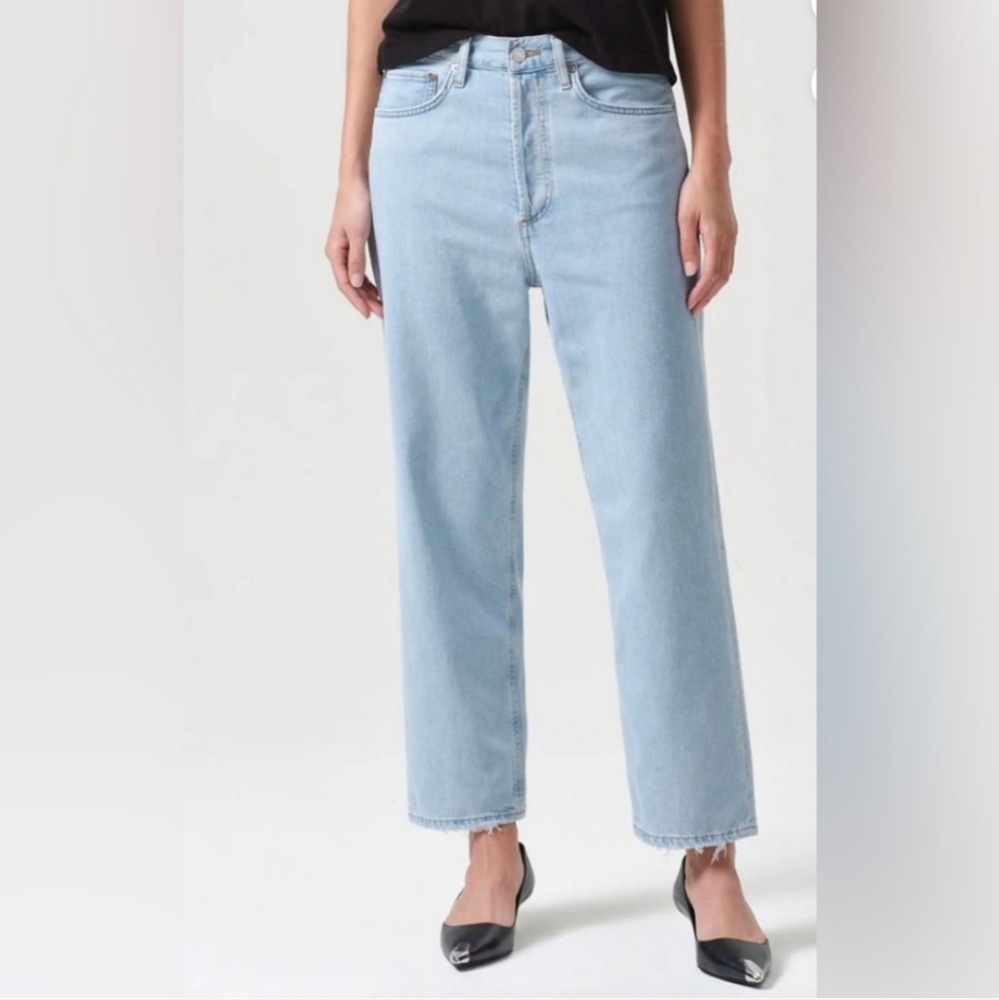 NWT Agolde 90's crop mid loose straight jeans in pivot